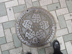 Tokyo manhole cover in Japan